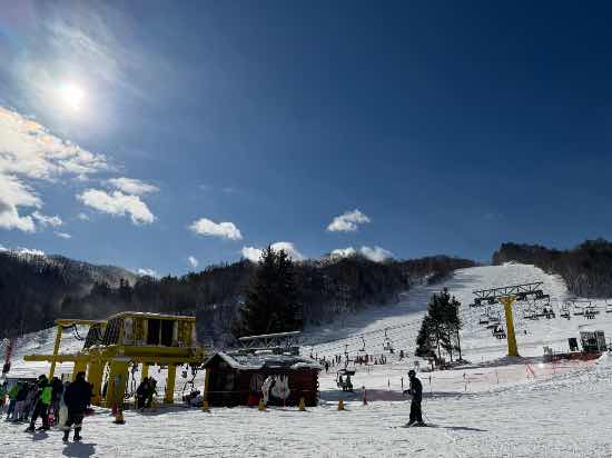 ワンダーランドかたしなレビューキャンペーン