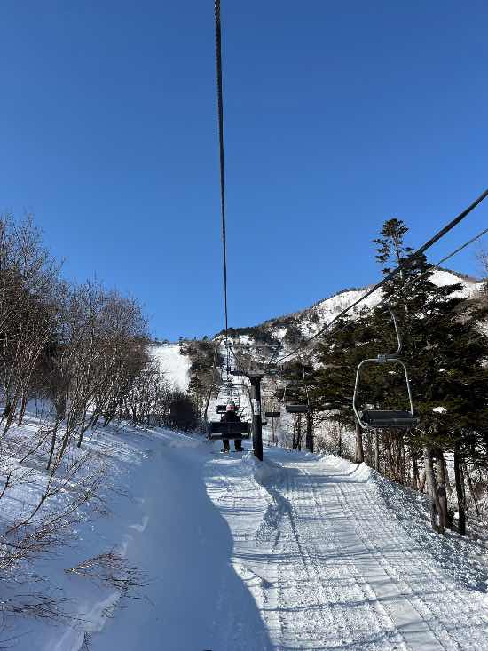 ワンダーランドかたしなレビューキャンペーン