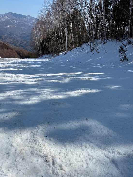 ワンダーランドかたしなレビューキャンペーン|のクチコミ画像