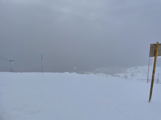 上質パウダー！|大雪山旭岳ロープウェイのクチコミ画像2