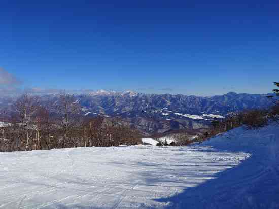 パウダー最高！|オグナほたかスキー場のクチコミ画像
