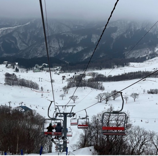 ハチ高側|ハチ・ハチ北スキー場のクチコミ画像