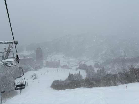 新雪