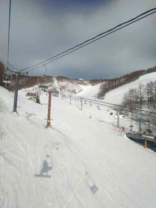 ワンダーランドかたしなレビューキャンペーン|オグナほたかスキー場のクチコミ画像