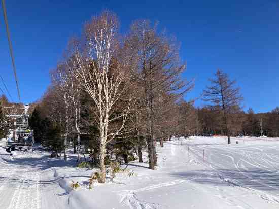 唐松コース万歳