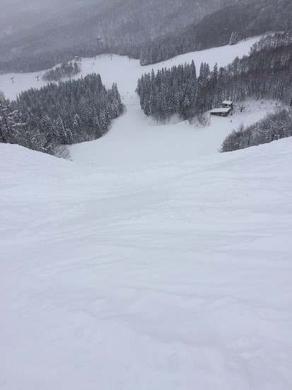雪質最高|蔵王温泉スキー場のクチコミ画像