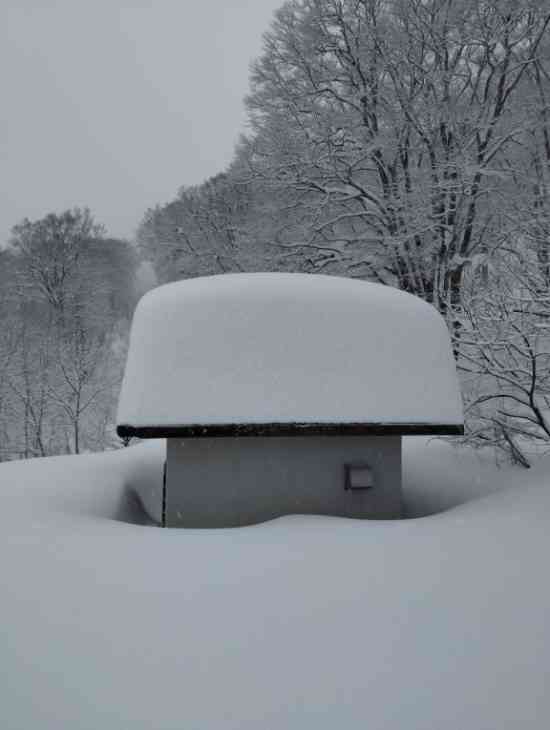 モフモフ|野沢温泉スキー場のクチコミ画像