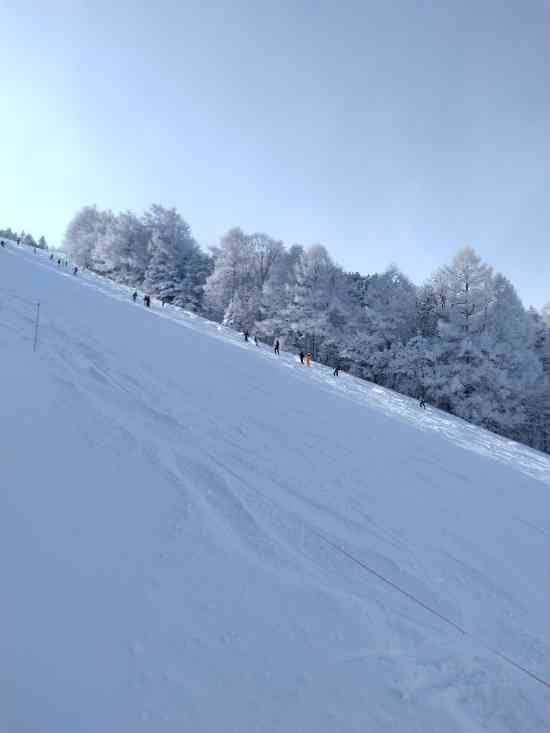 ワンダーランドかたしなレビューキャンペーン|オグナほたかスキー場のクチコミ画像