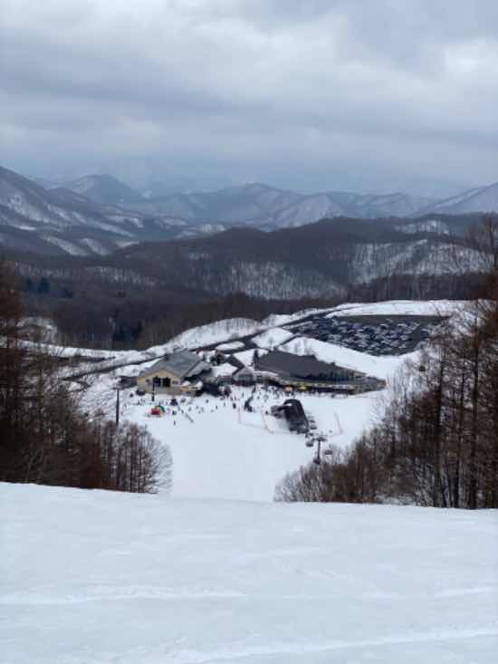 雨風にも負けず|のクチコミ画像