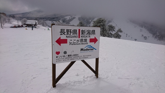県境の写真|斑尾高原スキー場のクチコミ画像