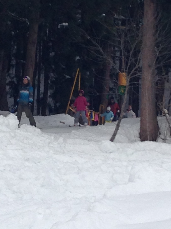 子供向き|湯沢中里スノーリゾートのクチコミ画像2