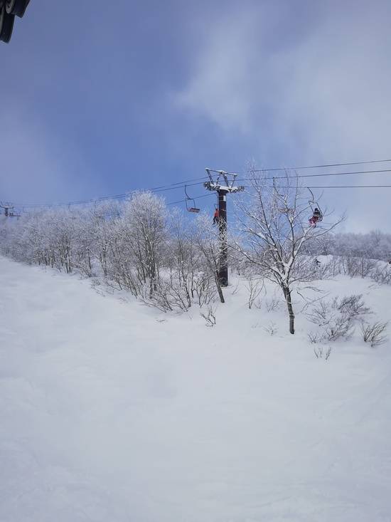 ワンダーランドかたしなレビューキャンペーン|ホワイトワールド尾瀬岩鞍のクチコミ画像