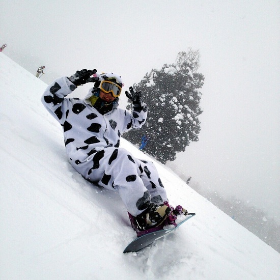 野沢牛です|Hakuba47 ウインタースポーツパークのクチコミ画像