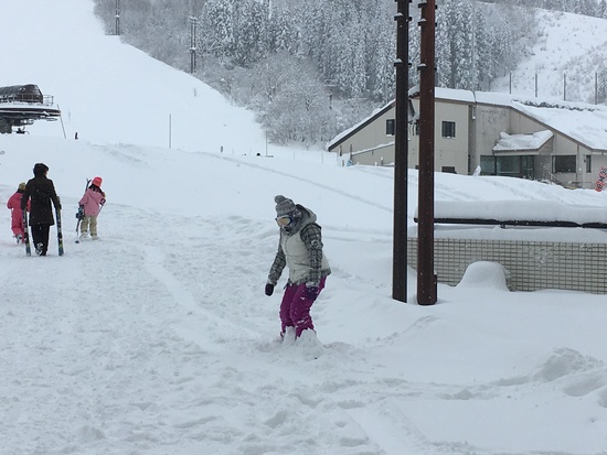 やっと雪|ニュー・グリーンピア津南スキー場のクチコミ画像