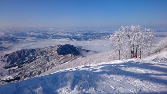 新雪最高！|六日町八海山スキー場のクチコミ画像