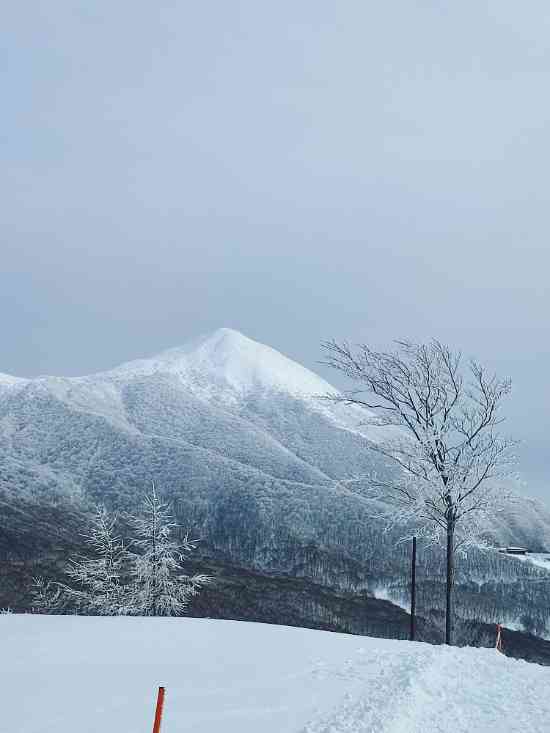 遊び方色々|のクチコミ画像