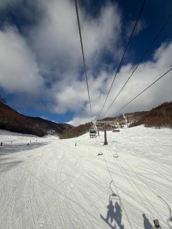 ワンダーランドかたしなレビューキャンペーン