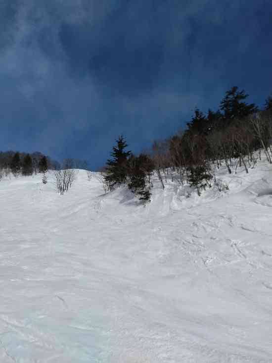 ワンダーランドかたしなレビューキャンペーン