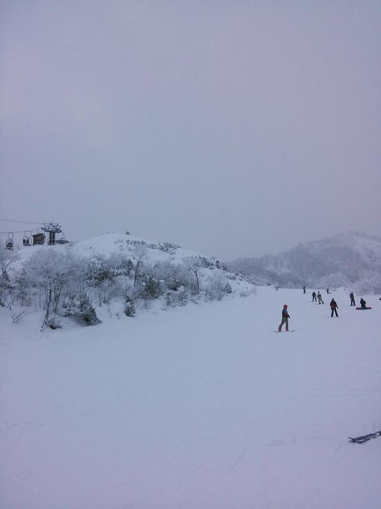 パウダースノー|Hakuba47 ウインタースポーツパークのクチコミ画像