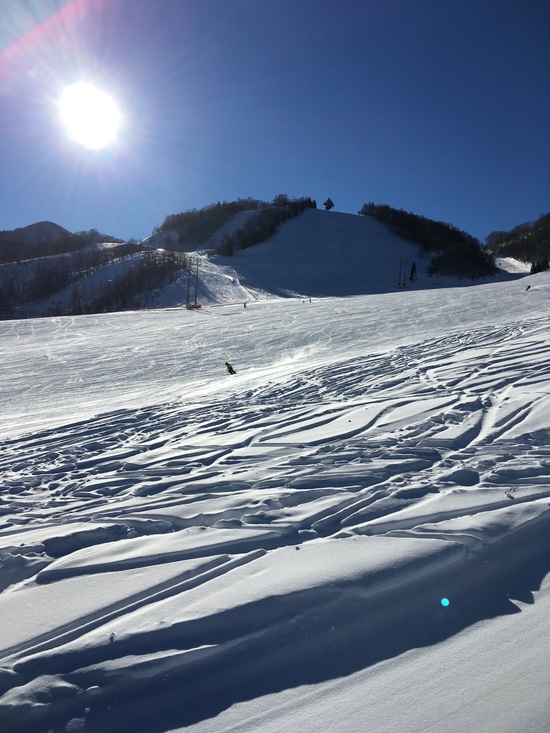 快晴！！|飛騨ほおのき平スキー場のクチコミ画像