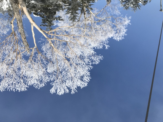 寺子屋は素敵|志賀高原リゾート中央エリア（サンバレー～一の瀬）のクチコミ画像3