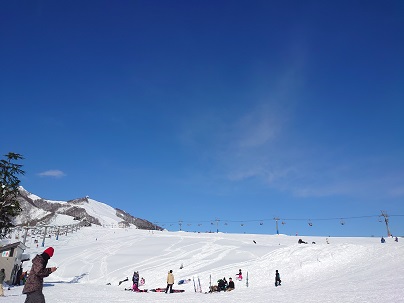 広いゲレンデ|岩原スキー場のクチコミ画像