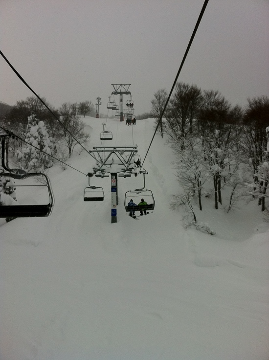 雪にも負けず・・・|GALA湯沢スキー場のクチコミ画像