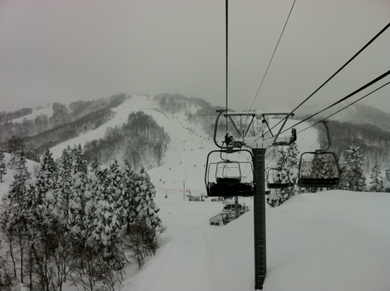雪にも負けず・・・|GALA湯沢スキー場のクチコミ画像3