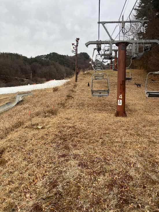 ナイターゲレンデは最悪のコンディション|佐久スキーガーデン「パラダ」南パラダスキー場のクチコミ画像2