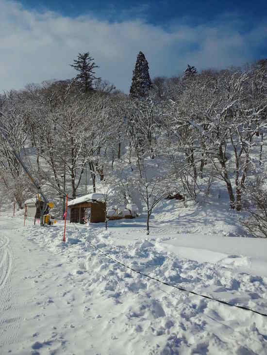 風が…|びわ湖バレイのクチコミ画像