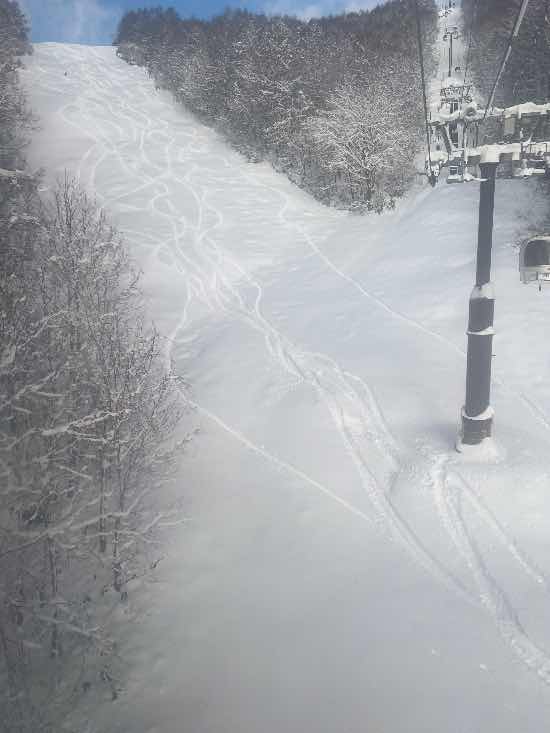 楽しい|EN RESORT Grandeco Snow Resortのクチコミ画像