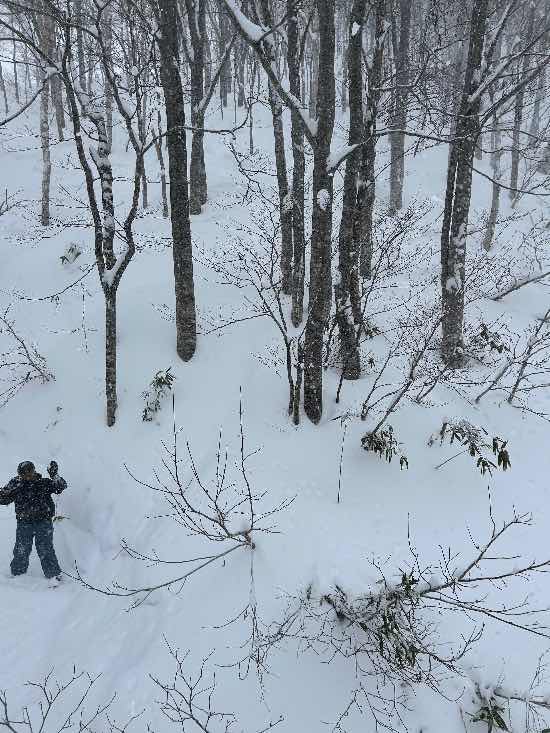 全コース新雪だらけ