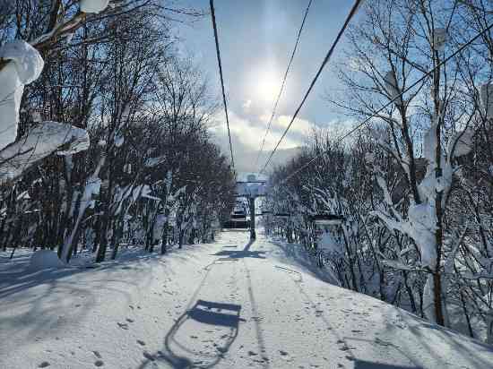 今期ようやくパウダーいただきましたー|青森スプリング・スキーリゾートのクチコミ画像