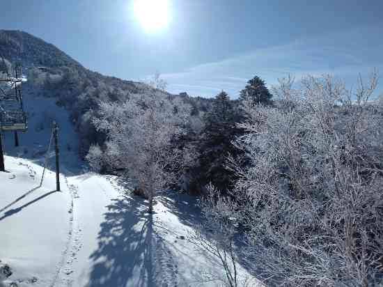 ワンダーランドかたしなレビューキャンペーン|丸沼高原スキー場のクチコミ画像