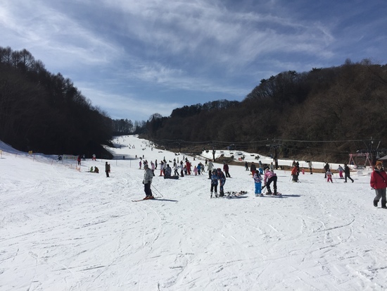 スキー場でマグロの解体|佐久スキーガーデン「パラダ」北パラダスキー場のクチコミ画像2