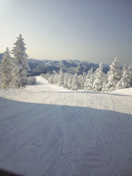 のどかな春スキー|志賀高原 焼額山スキー場のクチコミ画像