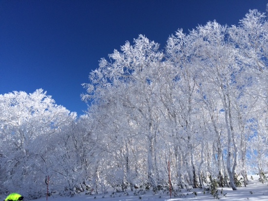 今年は雪がない・・・|函館七飯スノーパークのクチコミ画像