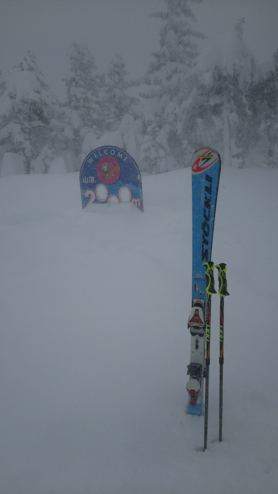 雪質、滑走距離、フラットバーン最高|信州松本 野麦峠スキー場のクチコミ画像