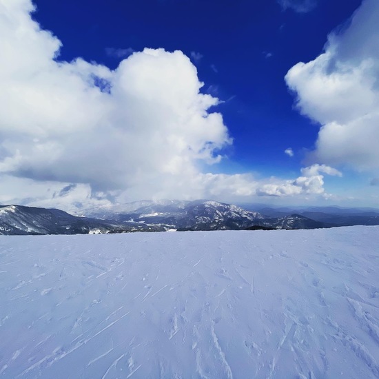 最高|ハチ・ハチ北スキー場のクチコミ画像