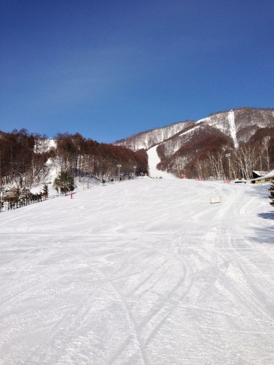 雪質最高！|ホワイトワールド尾瀬岩鞍のクチコミ画像1