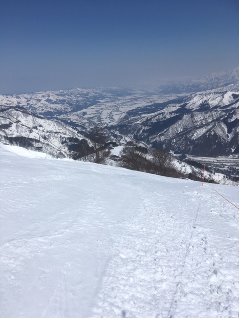 クローズ間近ですが。雪はたっぷりです！|湯沢高原スキー場のクチコミ画像