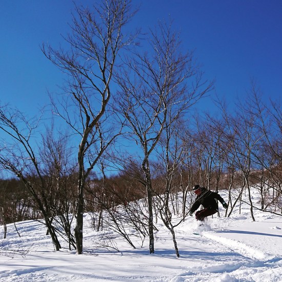 楽し過ぎ！ロッテアライリゾート|アライマウンテンリゾート（旧ロッテアライリゾート）のクチコミ画像2