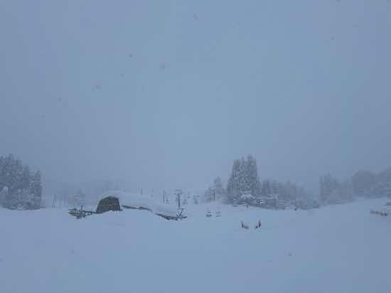 パウダー✨|ムイカスノーリゾートのクチコミ画像3