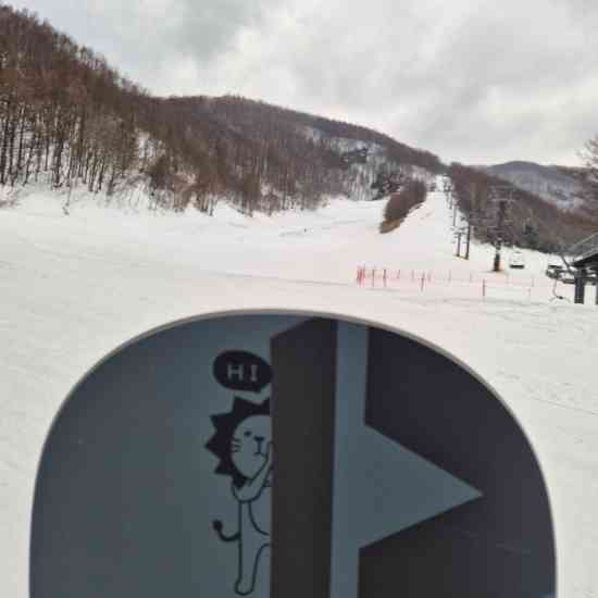ワンダーランドかたしなレビューキャンペーン|オグナほたかスキー場のクチコミ画像