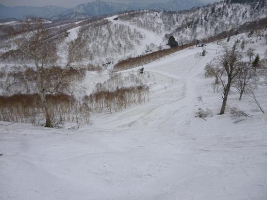 一日では滑り切ることはできないです|かぐらスキー場のクチコミ画像3
