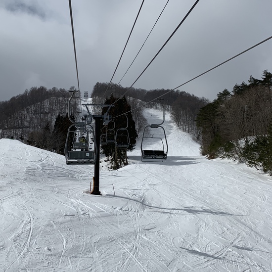 ふわ雪堪能|スカイバレイスキー場のクチコミ画像