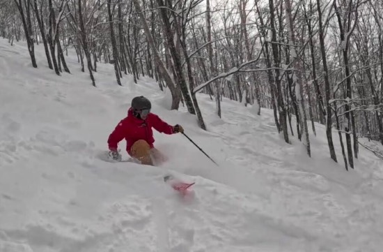 雪質最高