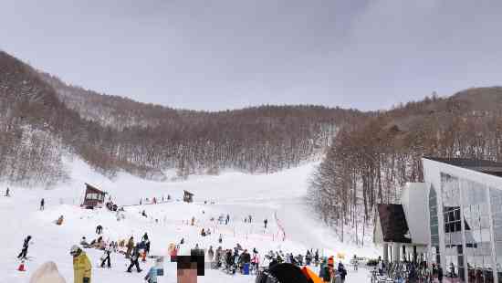 ワンダーランドかたしなレビューキャンペーン|オグナほたかスキー場のクチコミ画像