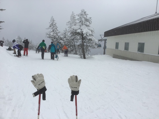 朝イチ|志賀高原 焼額山スキー場のクチコミ画像