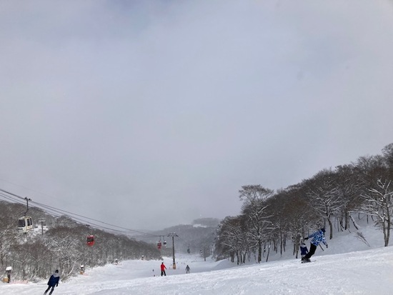 初滑り|高鷲スノーパークのクチコミ画像